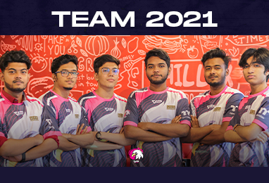 Esports Team